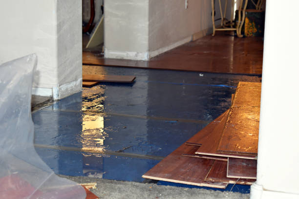 Professional Basement Flood Cleanup technician working in Wimberley, TX